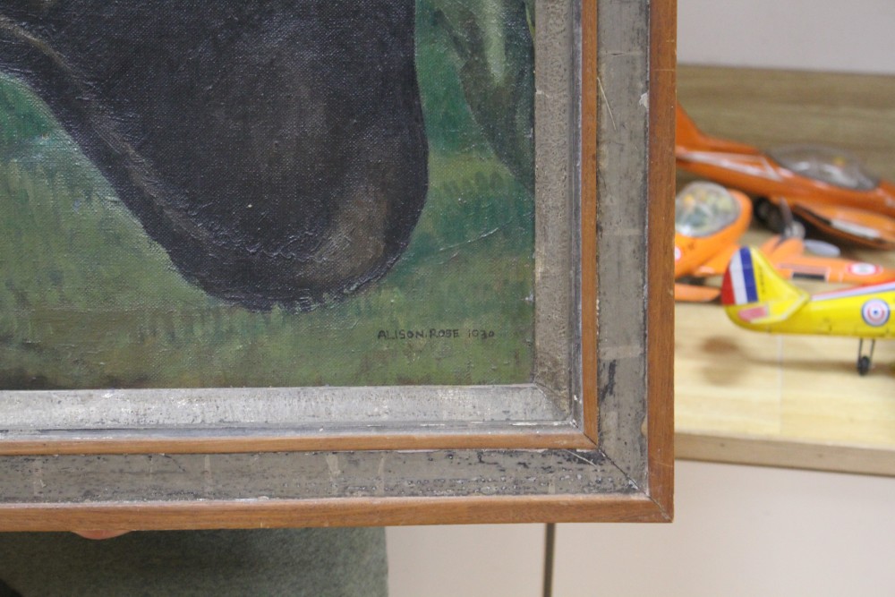 Alison Rose, oil on canvas, Study of a black cat, signed and dated 1930, 40 x 50cm